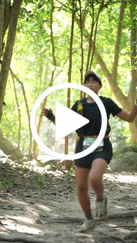 BIB:  <button type="button" onclick="openModal(28106096)" class="btn btn-primary btn-sm float-right" data-toggle="modal" data-target=".modal-high-quality">
                <i class="fa fa-download"></i> Download
                </button>